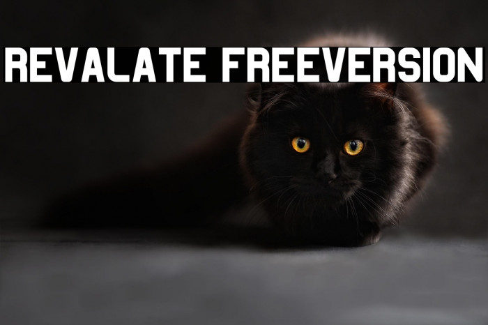 Revalate FreeVersion Example 2