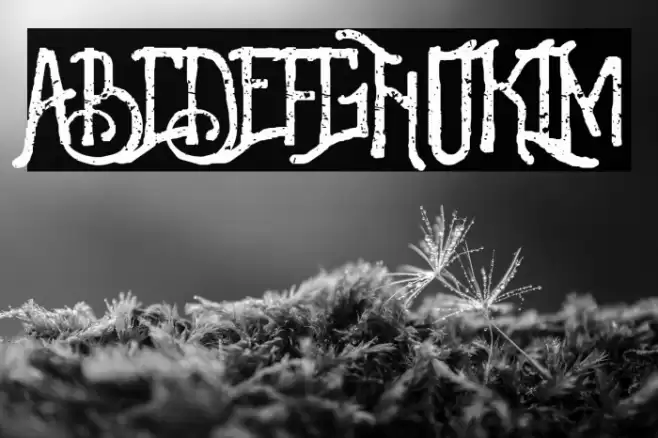 Revalina Font examples