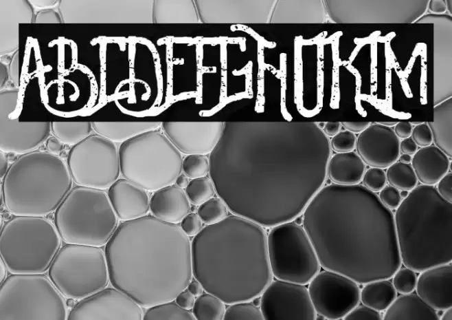 Revalina Font examples