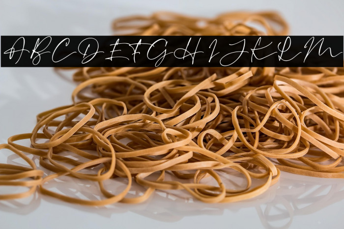 RevalinaDEMO Example 1