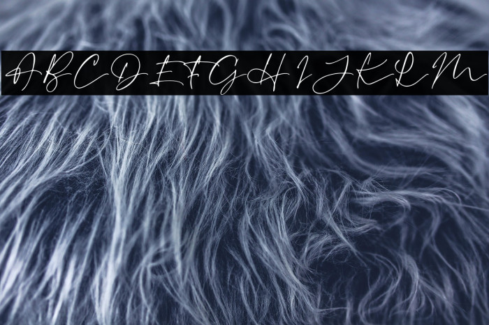 RevalinaDEMO Example 2