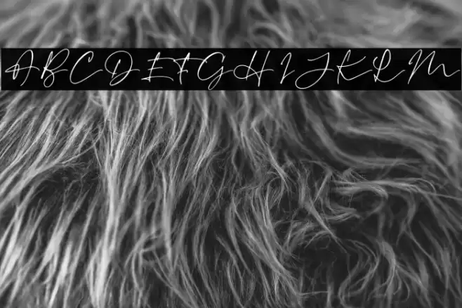 RevalinaDEMO Font examples