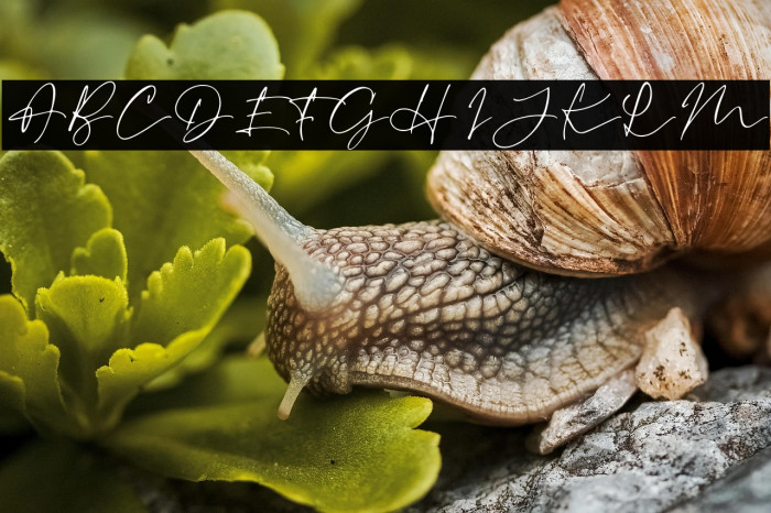 RevalinaDEMO Example 3