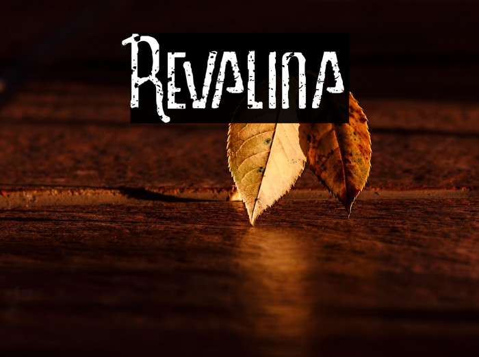 Revalina Example 3
