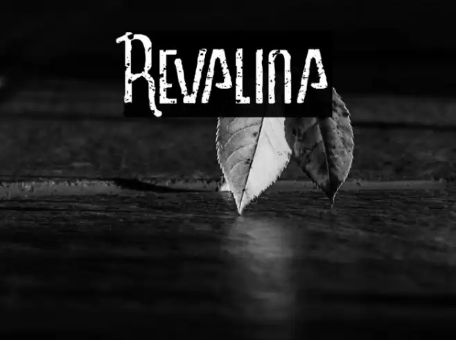 Revalina Font examples