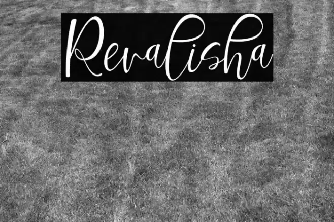 Revalisha Font examples