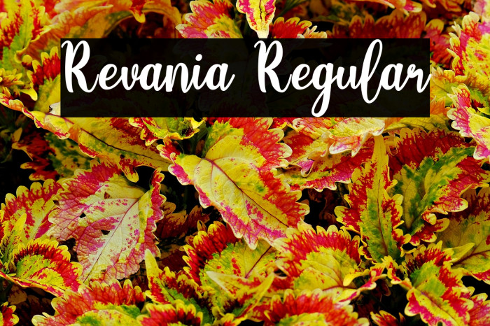 Revania Regular Example 3