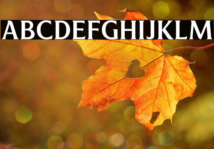 Revans-Medium Example 1