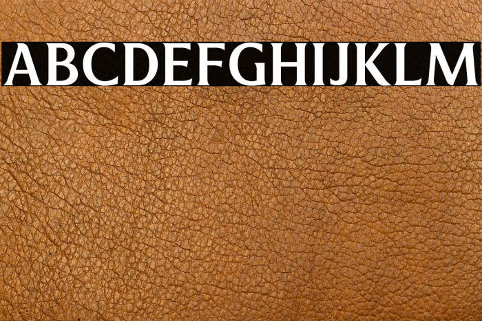 Revans-Medium Example 2