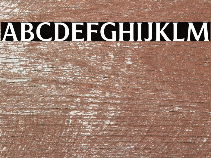 Revans-Medium Example 3