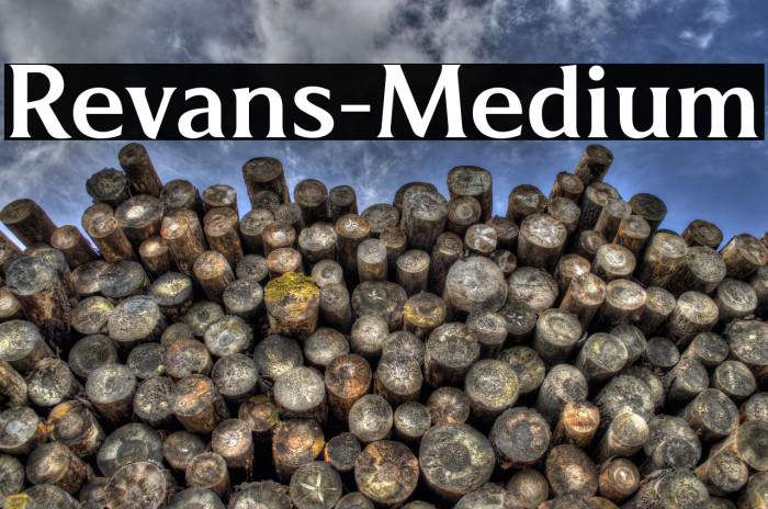 Revans-Medium Example 1