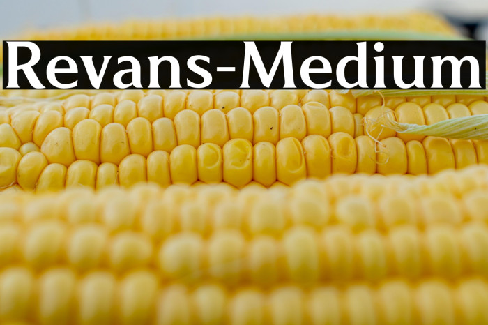 Revans-Medium Example 2