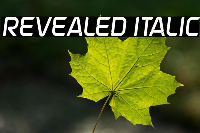 Revealed Italic Example 2