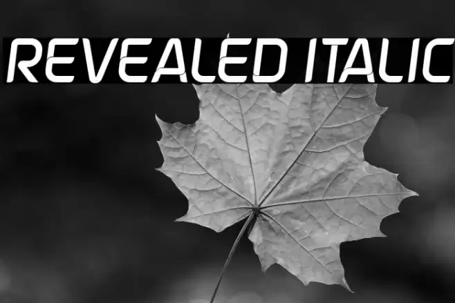 Revealed Italic Font examples