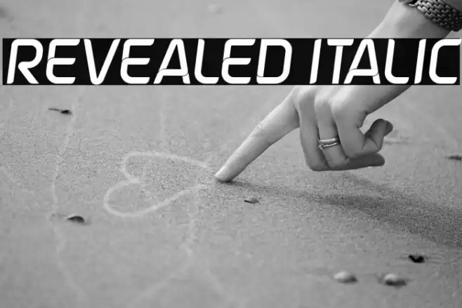 Revealed Italic Font examples