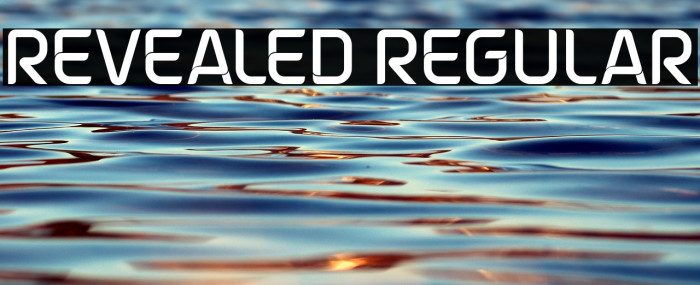 Revealed Regular Example 1