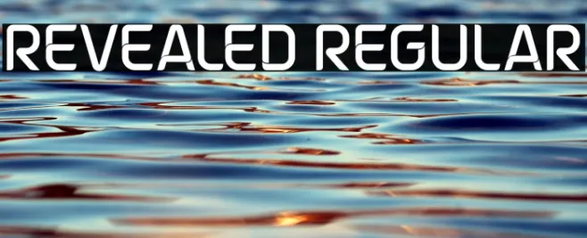 Revealed Regular Example 1