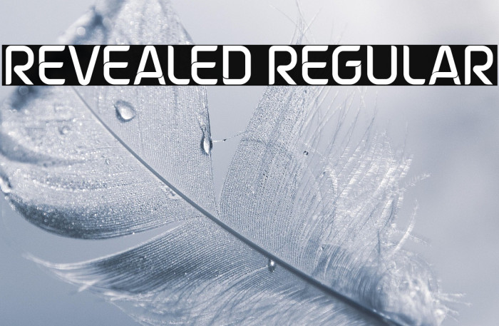 Revealed Regular Example 2