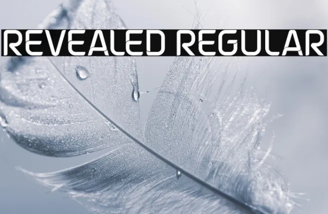 Revealed Regular Example 2