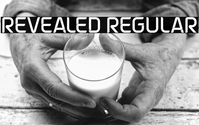 Revealed Regular Example 3