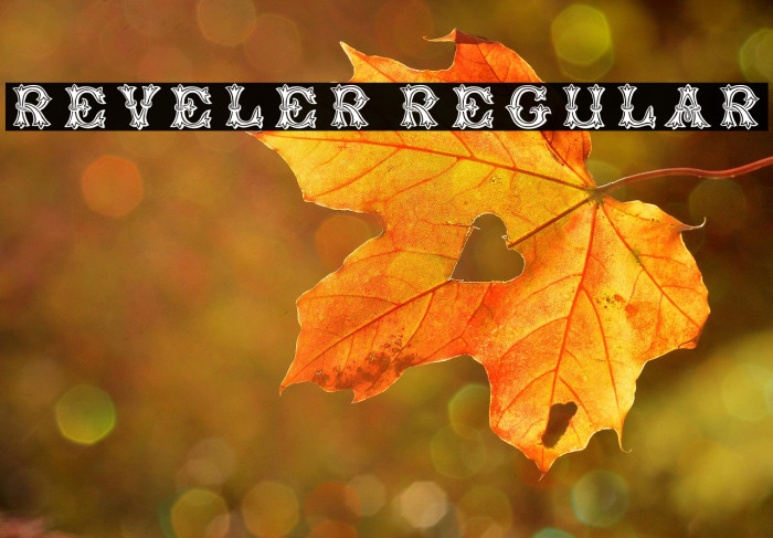 Reveler Regular Example 1