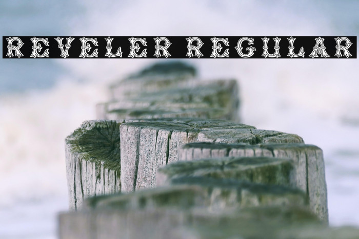 Reveler Regular Example 3