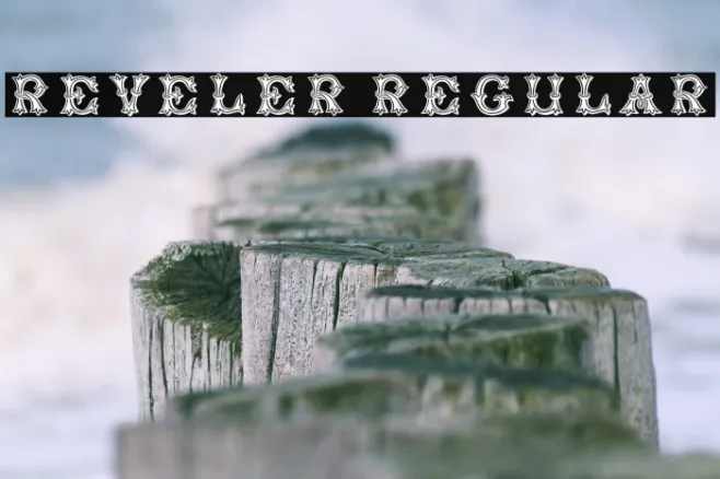 Reveler Regular Example 3