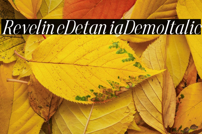 Reveline Detania Demo Italic Example 1