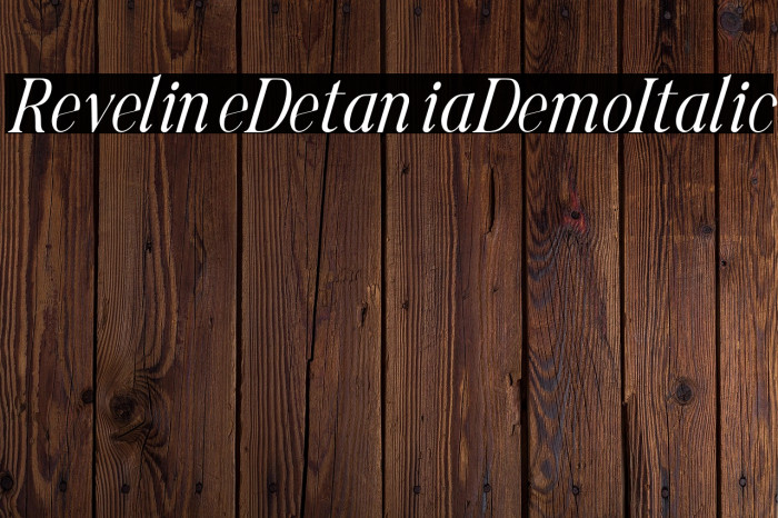 Reveline Detania Demo Italic Example 2