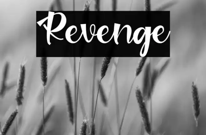 Revenge Font examples