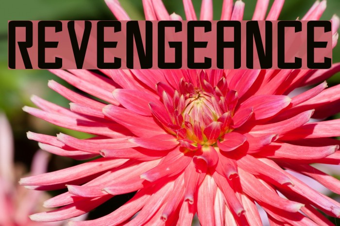 Revengeance Font examples