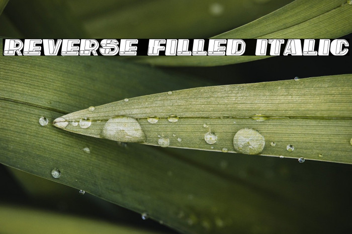 Reverse Filled Italic Example 1