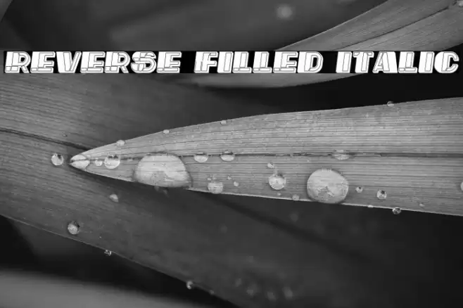 Reverse Filled Italic Font examples