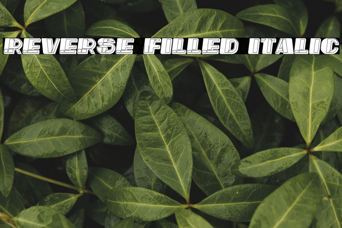 Reverse Filled Italic Example 2