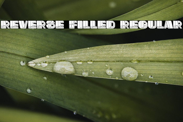 Reverse Filled Regular Example 1