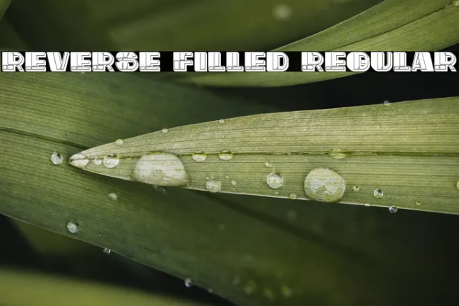 Reverse Filled Regular Example 1