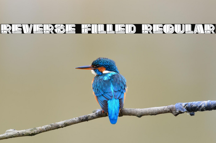 Reverse Filled Regular Example 3