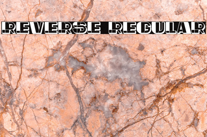 Reverse Regular Font examples