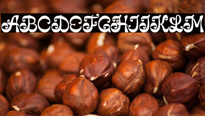 Reverse Vintage Personal use Example 1