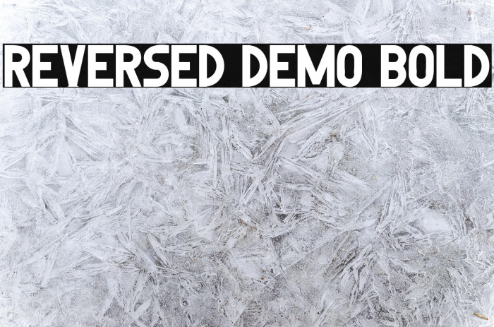 Reversed Demo Bold Example 2