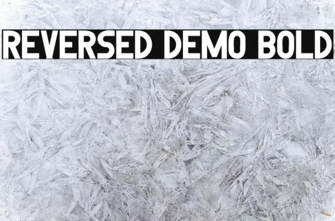 Reversed Demo Bold Example 2