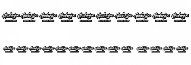 Reversed Demo Italic Font OTHER CHARS