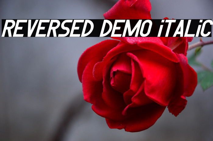 Reversed Demo Italic Example 1