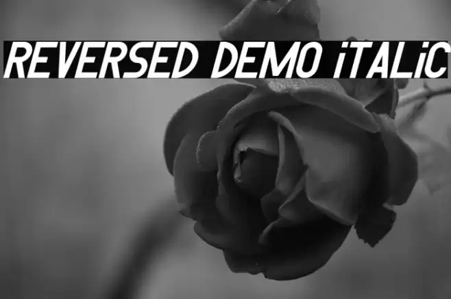 Reversed Demo Italic Font examples
