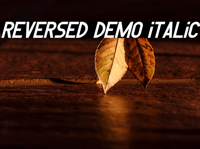 Reversed Demo Italic Example 2