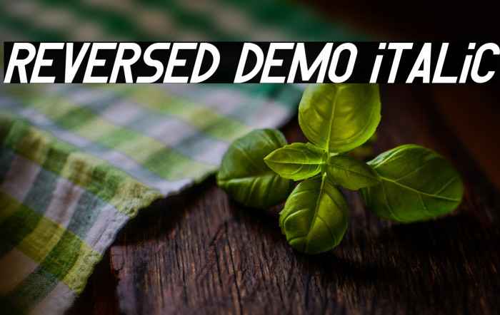 Reversed Demo Italic Example 3
