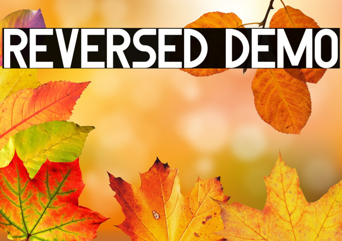 Reversed Demo Example 1