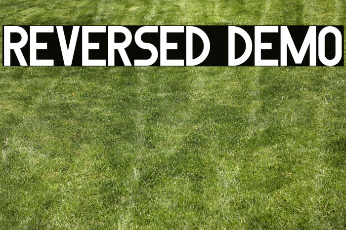 Reversed Demo Example 2