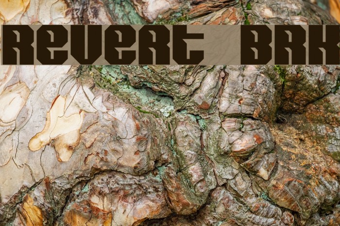 Revert BRK Font examples