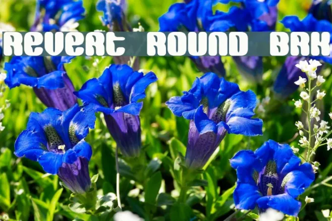 Revert Round BRK Example 2